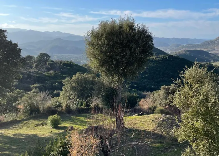 Bed & Breakfast Casa Di Cajucan Poggio-d'Oletta